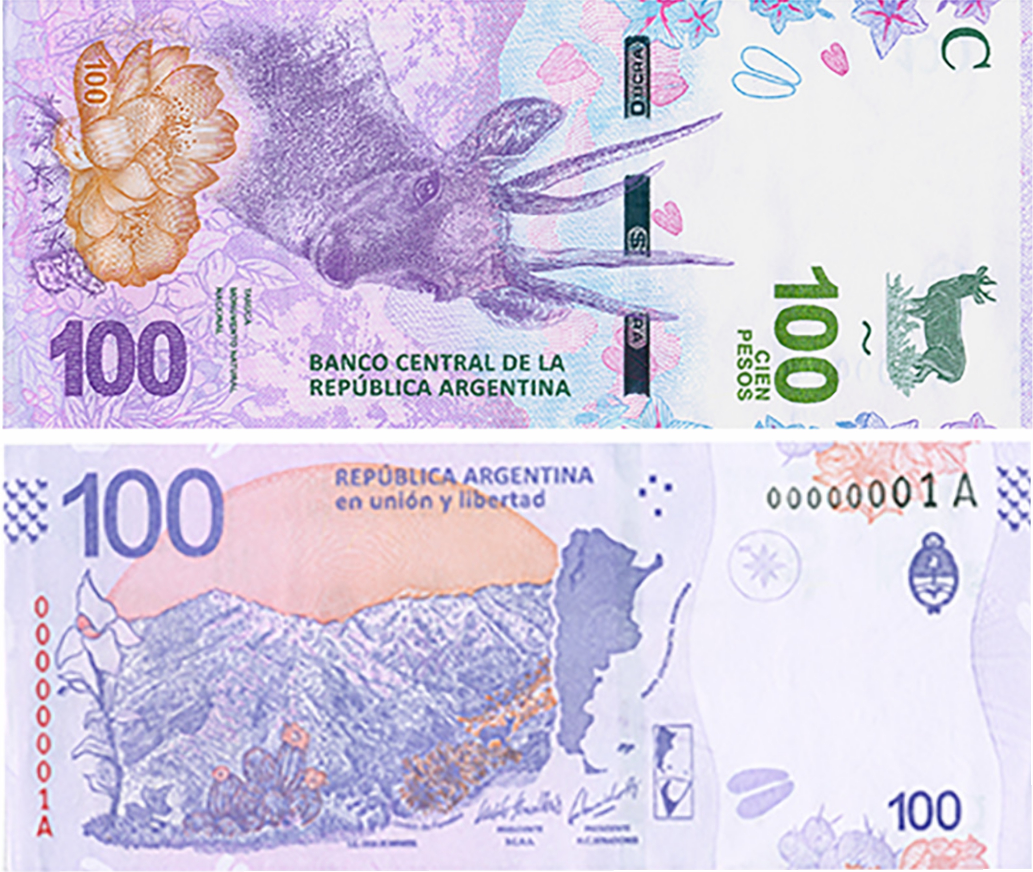 Presentaron los nuevos billetes de 100 pesos que llevan la imagen de