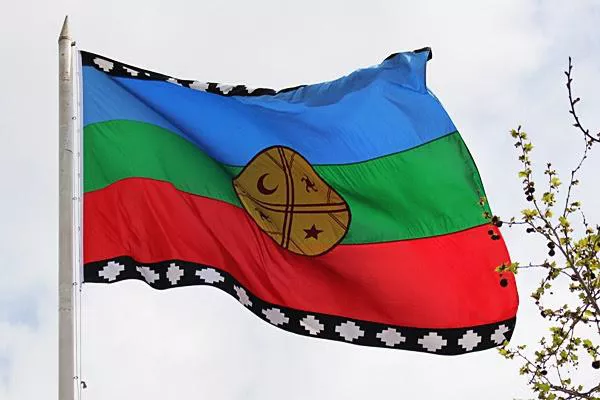 Bandera Mapuche Nqn