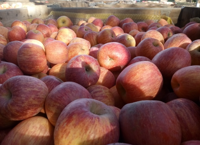 Manzanas