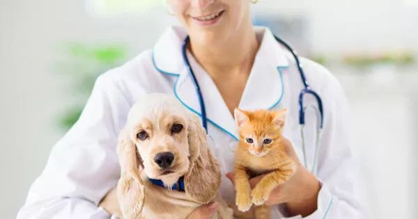 mascota veterinario