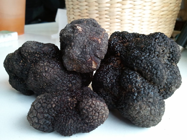 Trufas