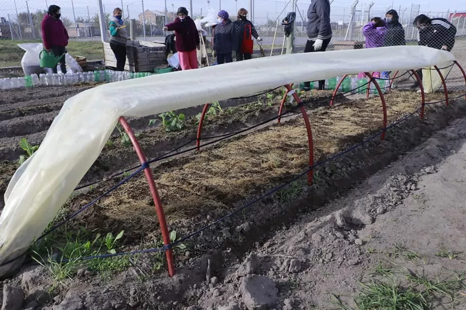Huerta comunitaria