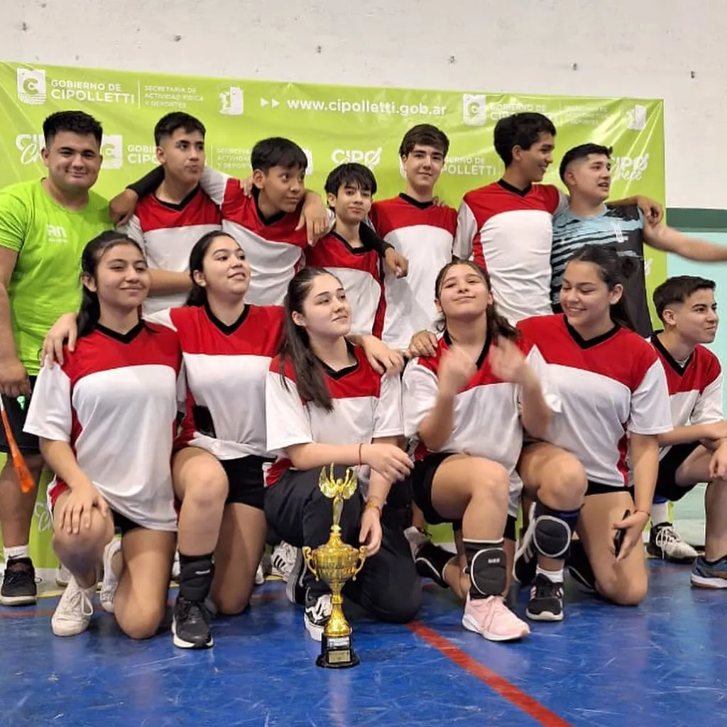liga voley