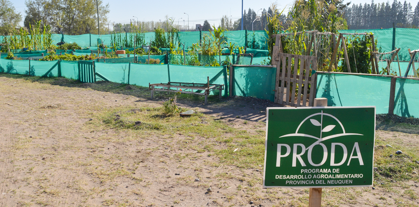 PRODA