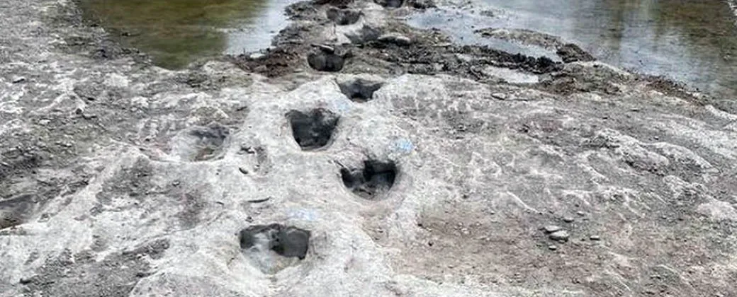 huellas dinos