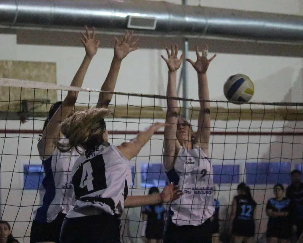 volei cipo