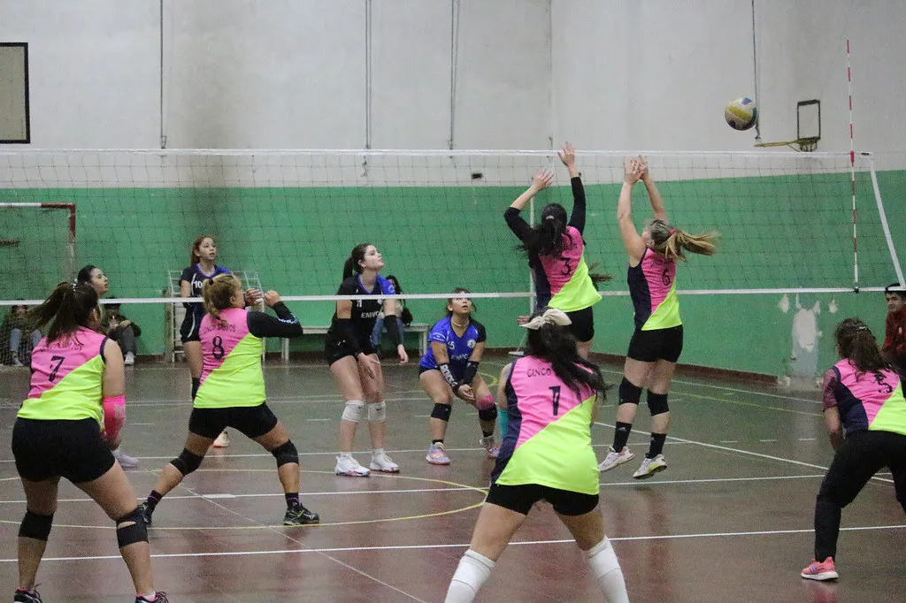 voley cipo