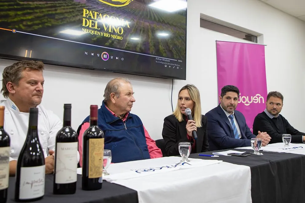patagonia del vino