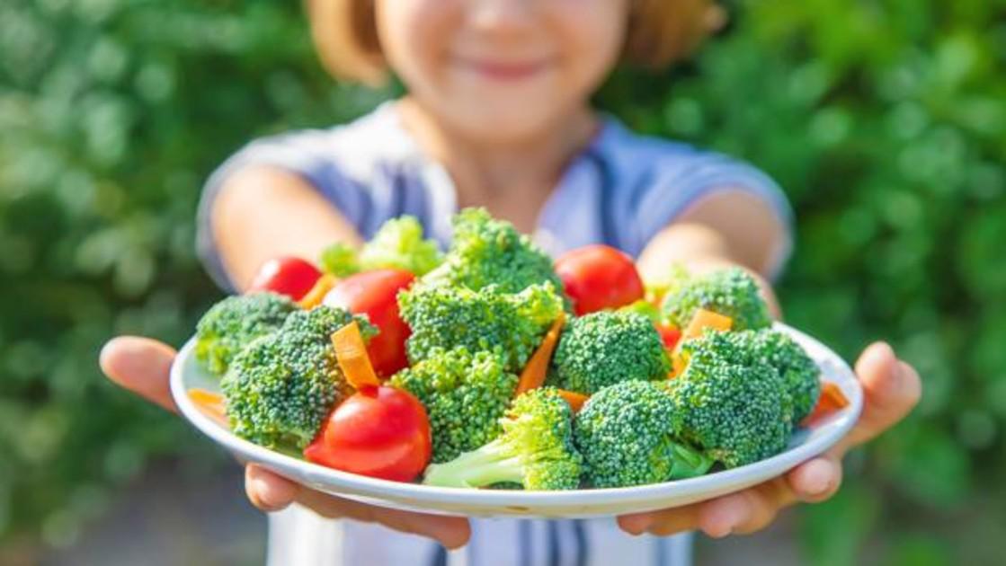 Alimentacion vegana