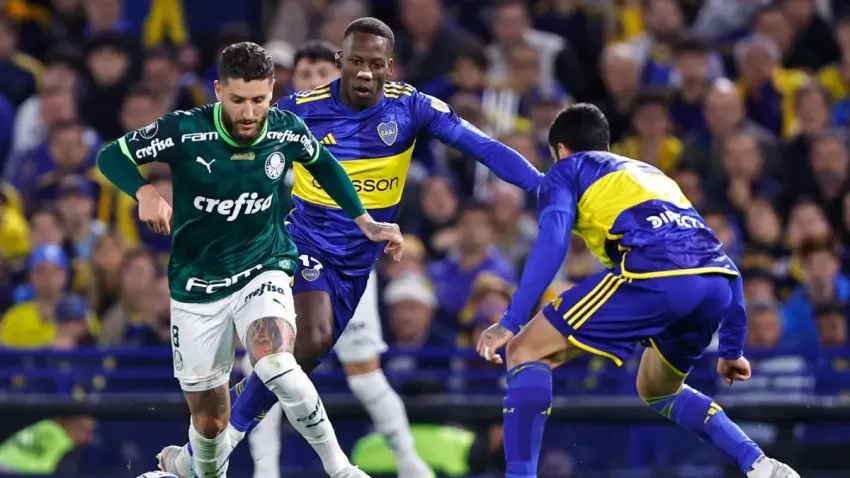 Palmeiras boca1