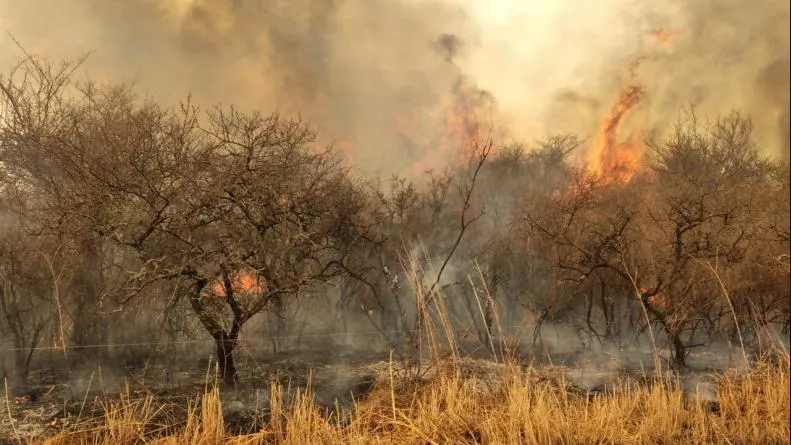 Incendio cordoba1