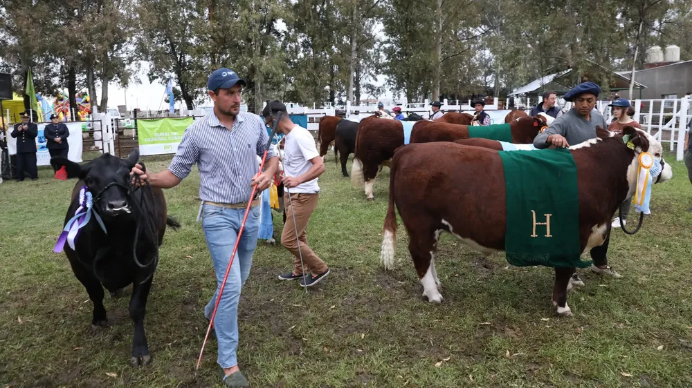 Exposiciones Rurales rn