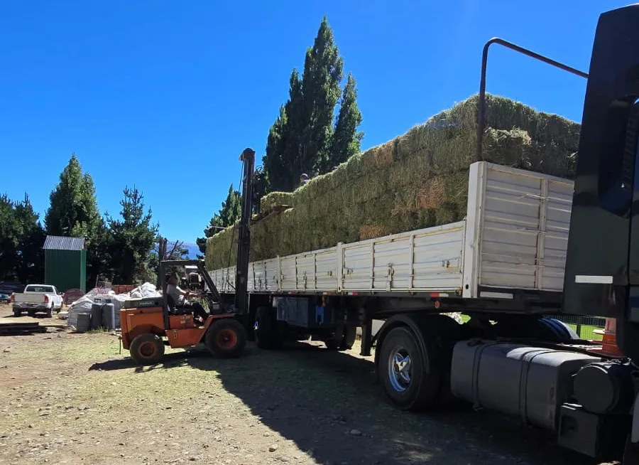 alfalfa animales incendio
