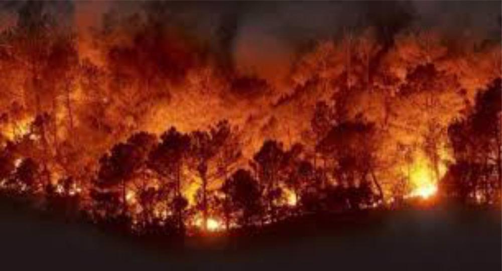 Incendio Amazonas
