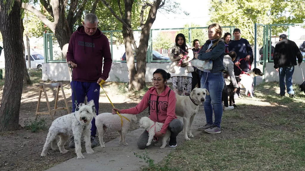 vcacunacion mascotas