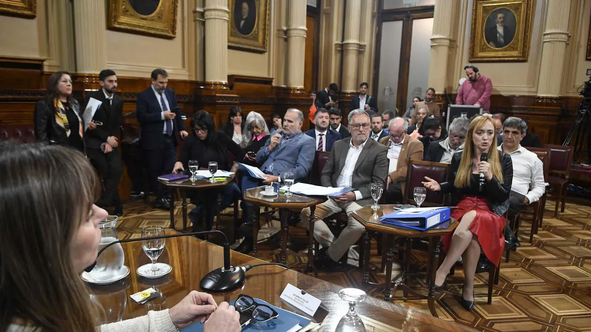 senado devolucion iva
