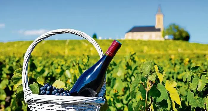 vinos organicos