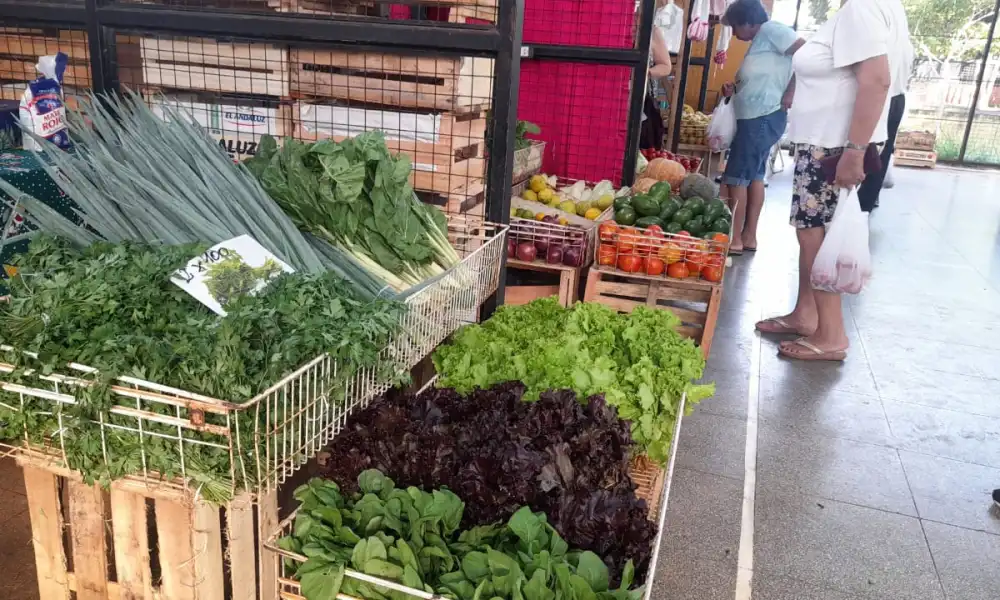 frutas y verduras