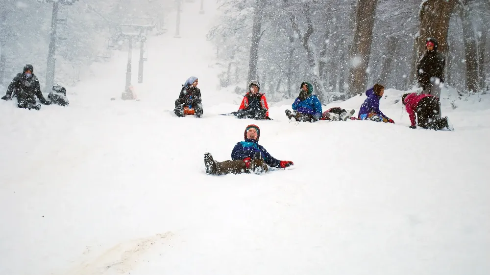 nieve rn