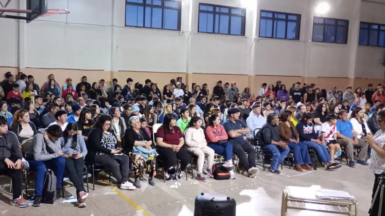 certificados rn