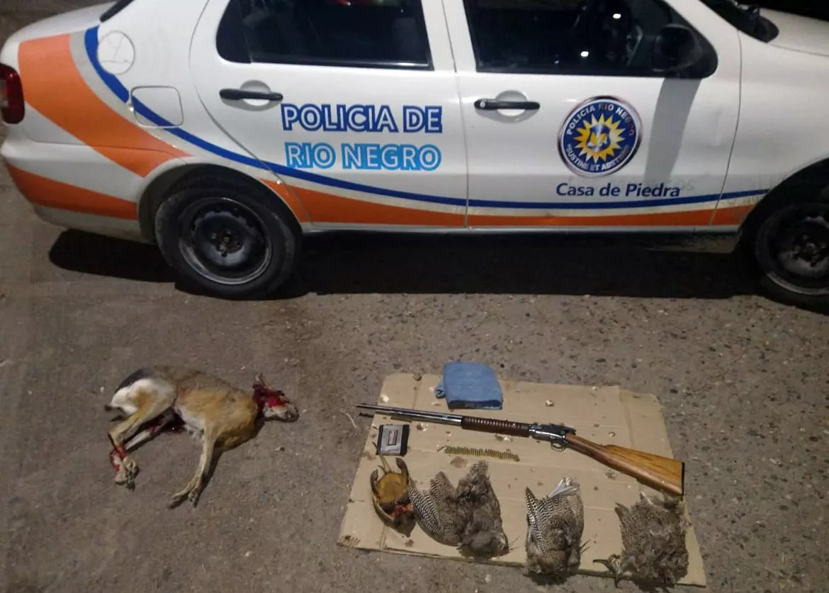 policia rn