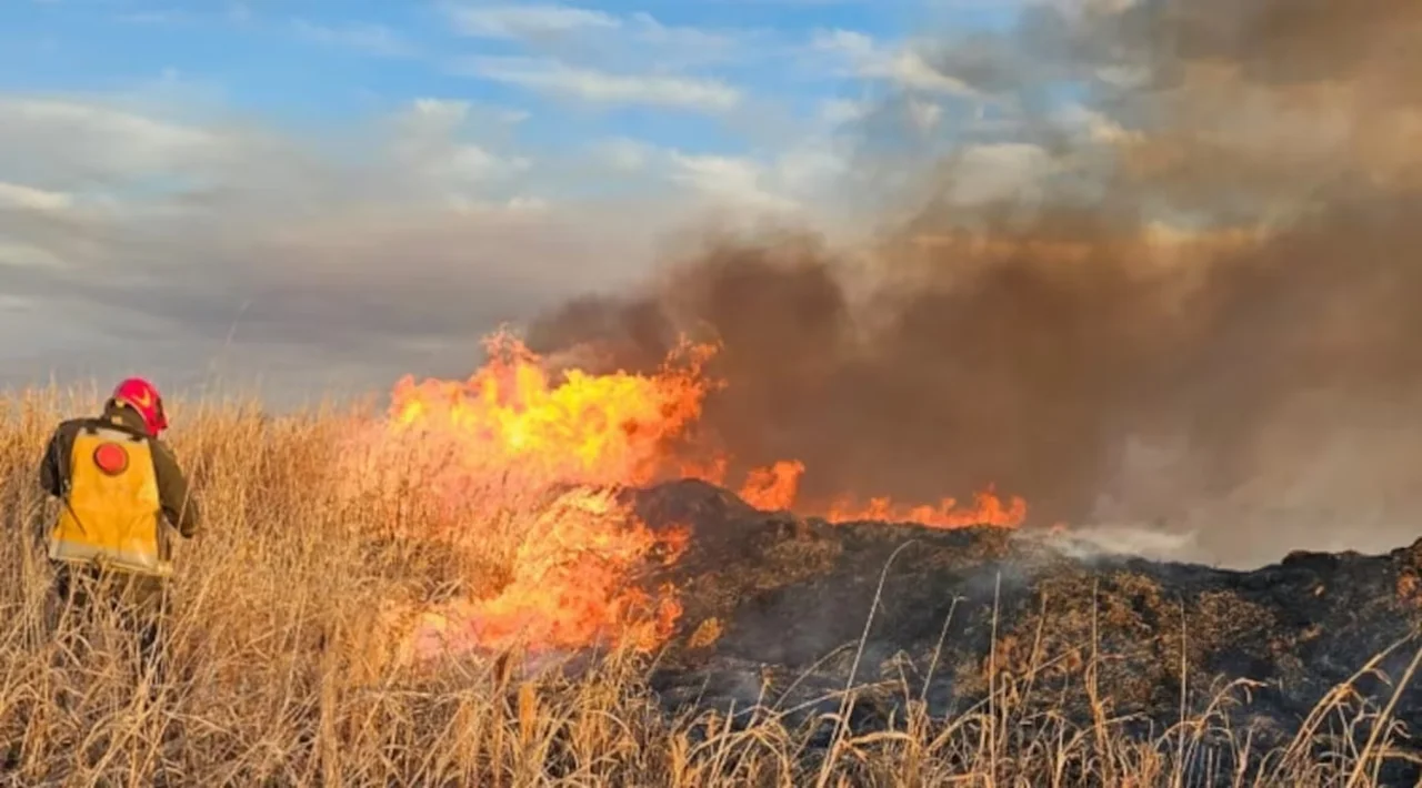 incendio forestal córdoba