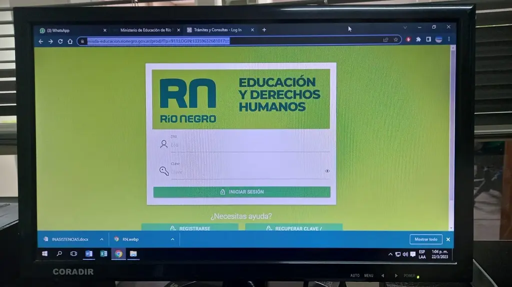 asistencia docente rn