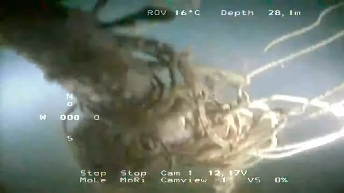 submarino
