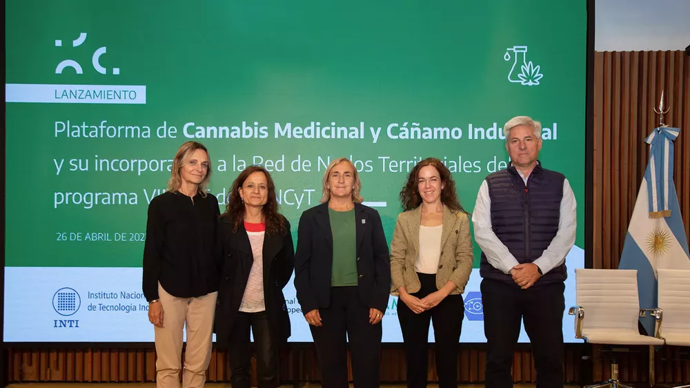 plataforma cannabis