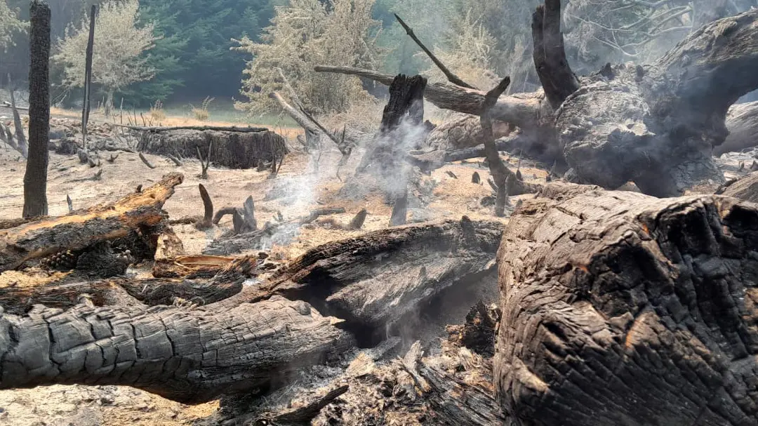 el bolson incendio