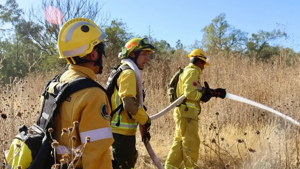 splif incendio