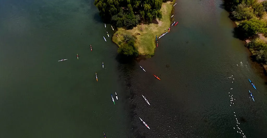 regata