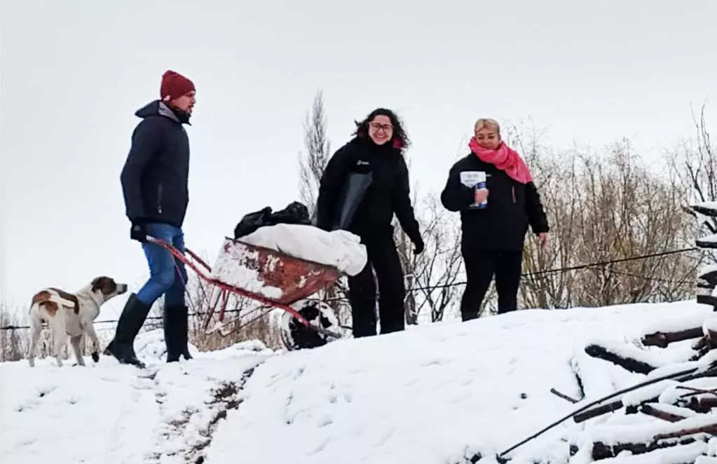 nieve cipo