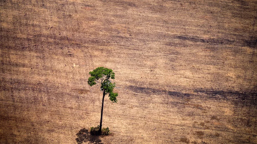 cambio climático