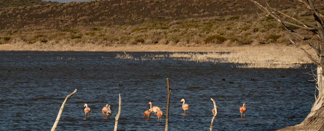 conservacion-biodiversidad