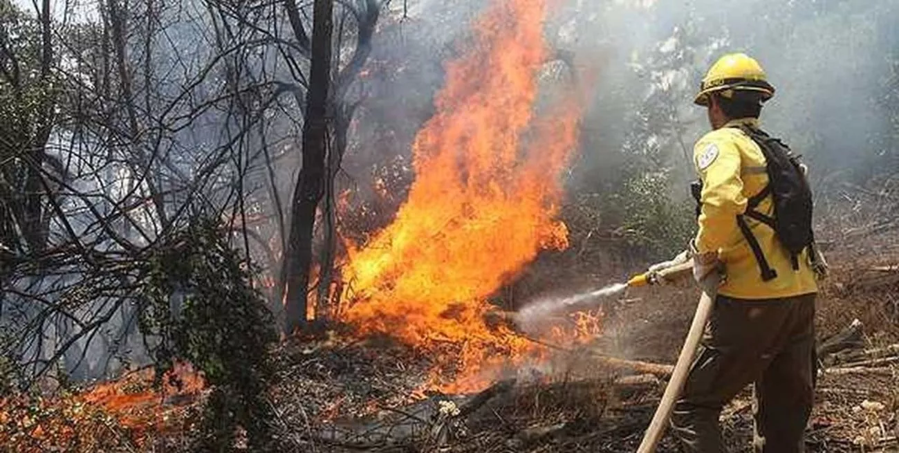 incendio forestal