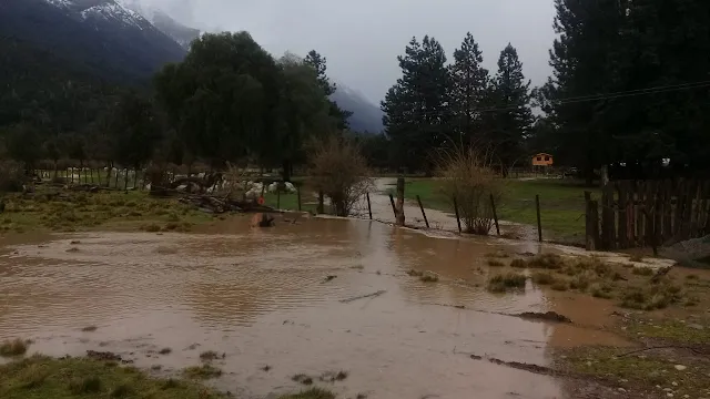el manso