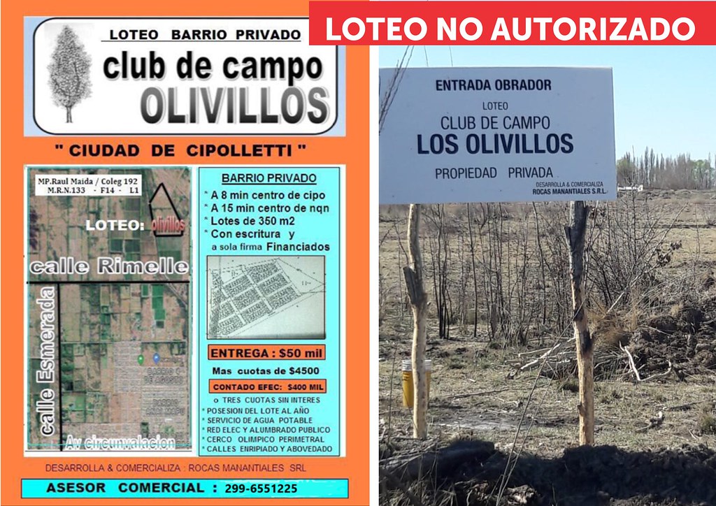 Los Olivillos
