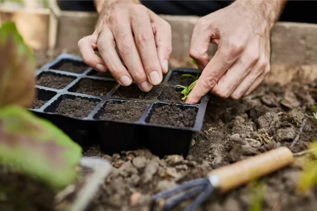 taller agroecologico