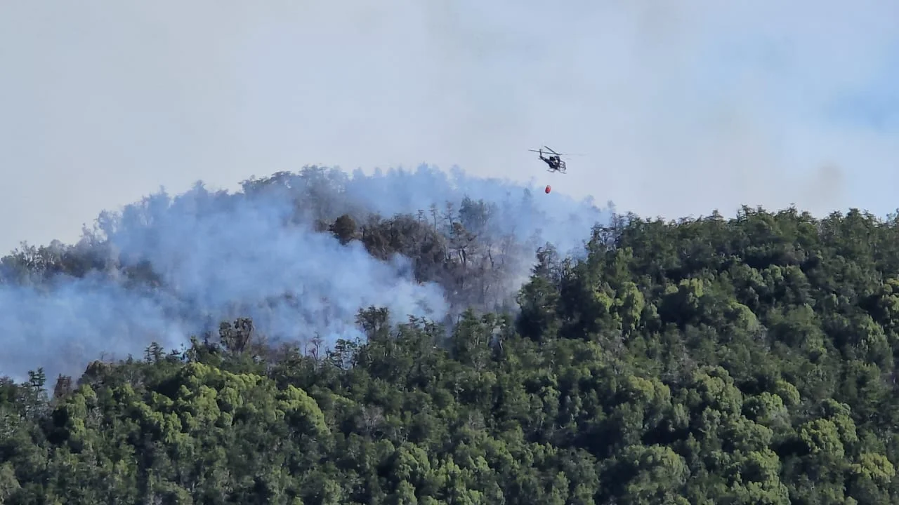 incendio pque nahuel haupi