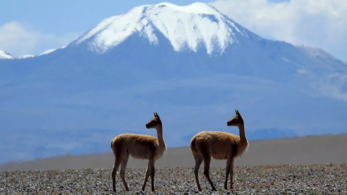 montañas