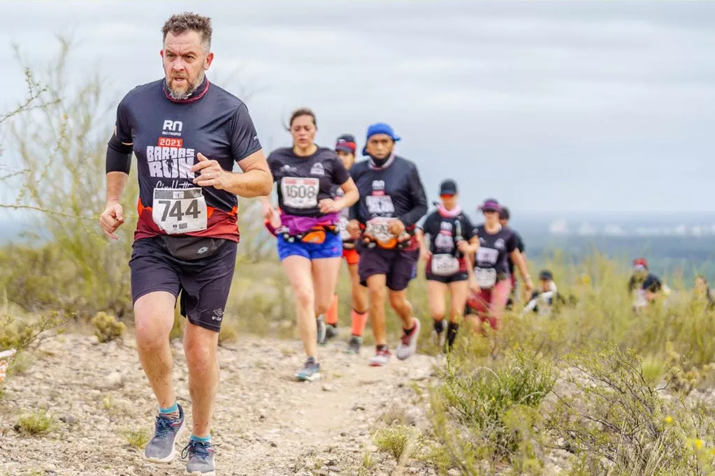 bardas run cipo