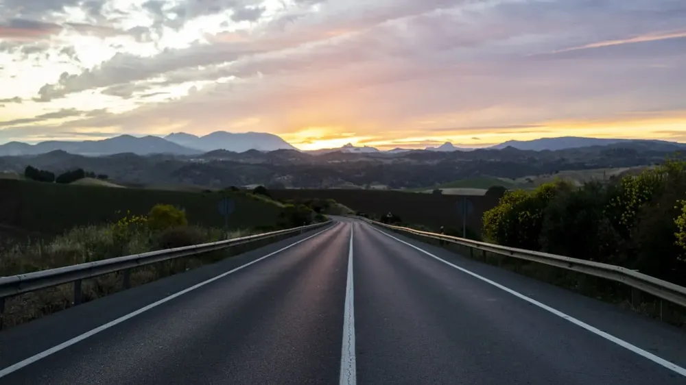 ruta