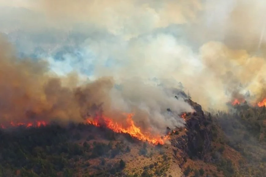 incendio forestal