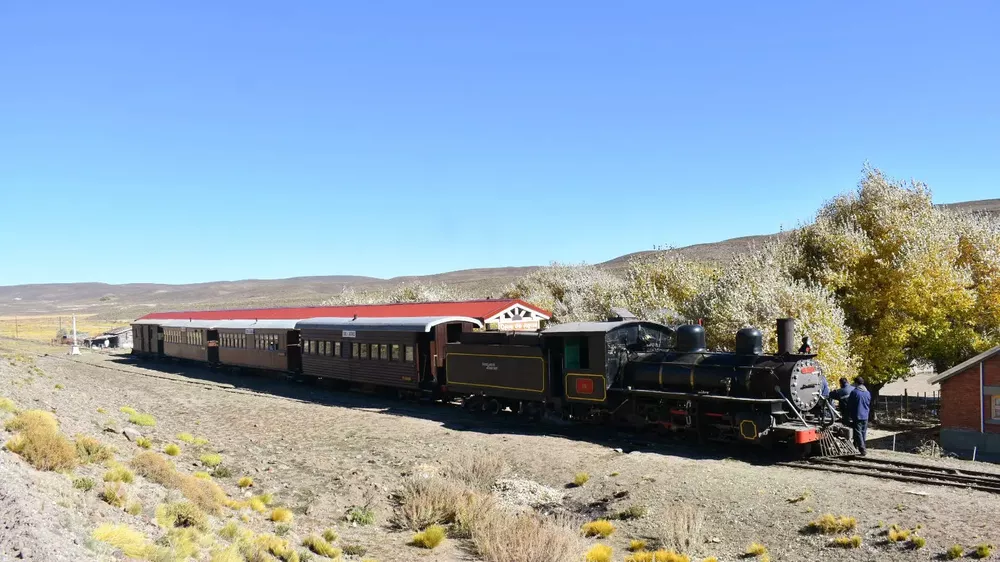 La Trochita