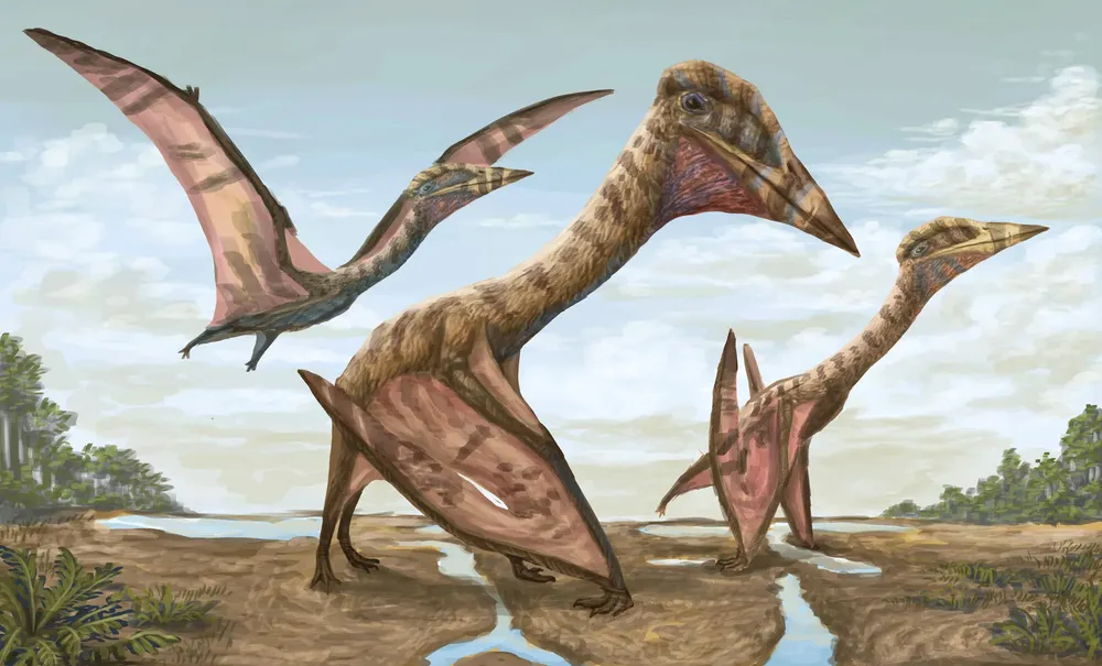 Azhdarchidae (Pterosauria)