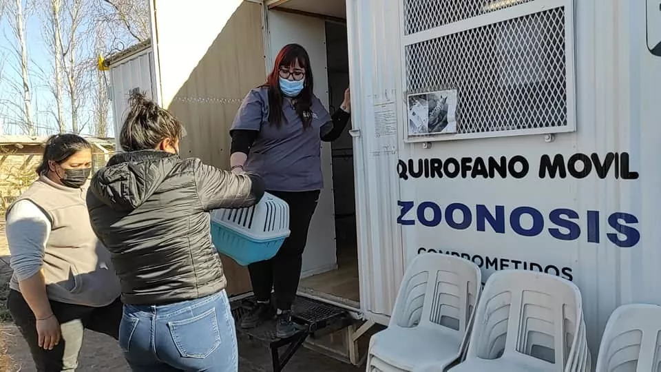 Trailer castaraciones
