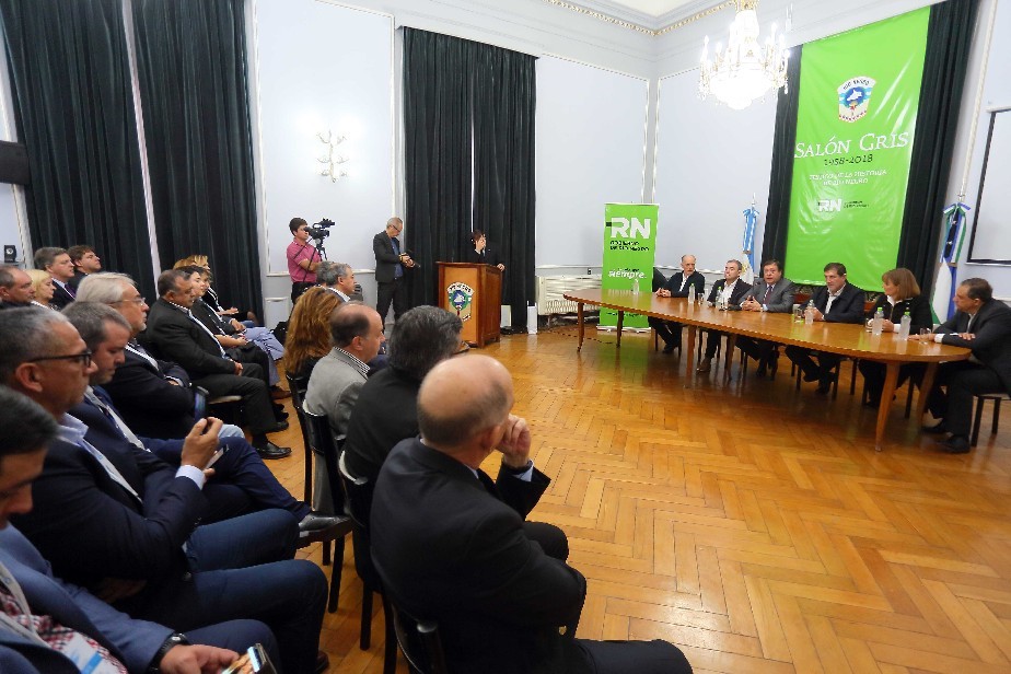 Plenario Viedma