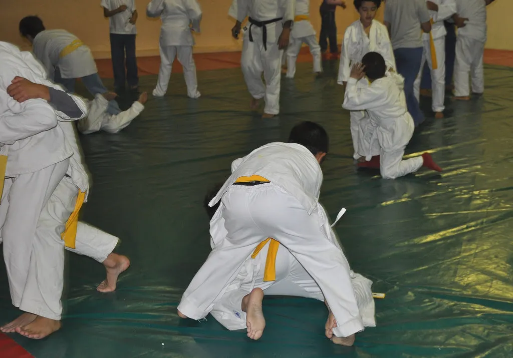 judo cipo