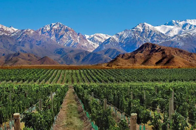 mendoza